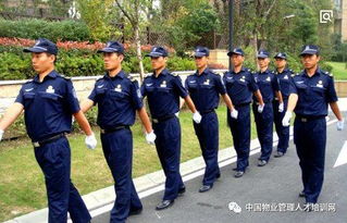 優化社區服務 物業保安規范與家政服務的協同管理